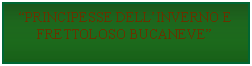 Casella di testo: PRINCIPESSE DELLINVERNO E FRETTOLOSO BUCANEVE 