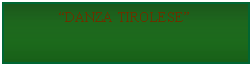 Casella di testo: DANZA TIROLESE 