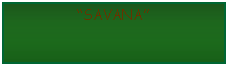 Casella di testo: SAVANA